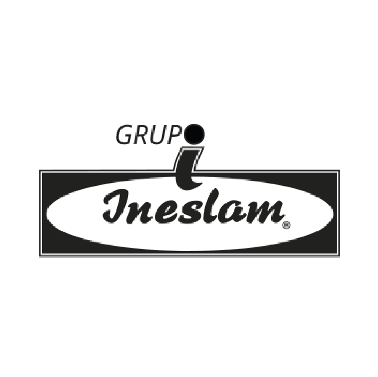 Logo Grup Ineslam